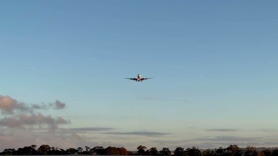 flydubai project — an aircraft flying over trees at dusk